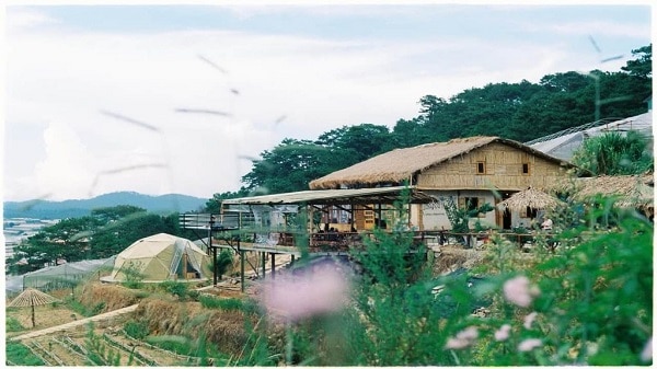 the organic life home stay