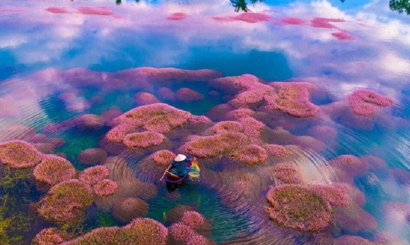 Hồ Tảo Hồng ở Bảo Lộc